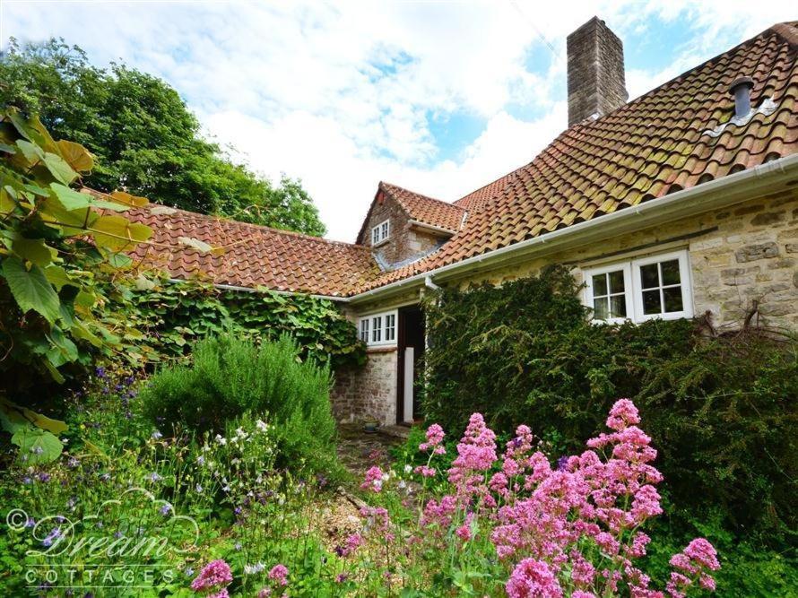 Sixpenny Cottage Upwey Екстериор снимка